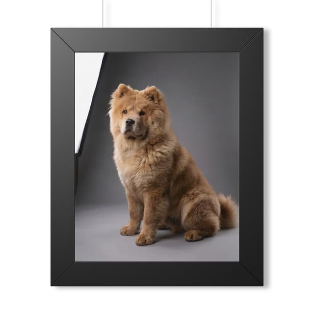 A studio portrait of a dog in a framed print